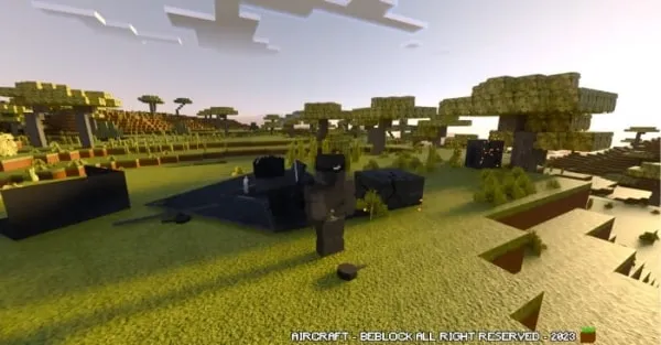 The fallen stealth aircraft