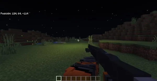 Flashlight on a Gun