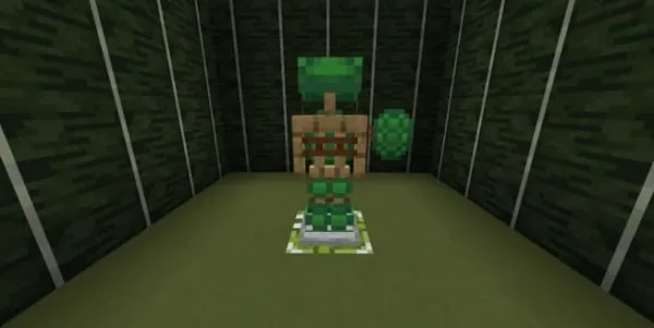 Turtle Armor