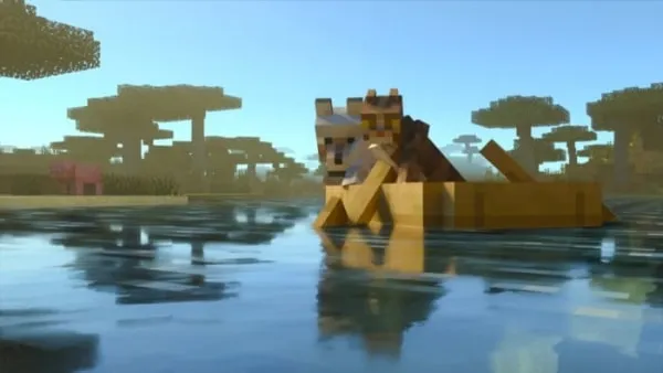 Wolf and cat with RTX