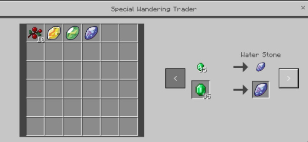 Trading with a Special Wandering Trader