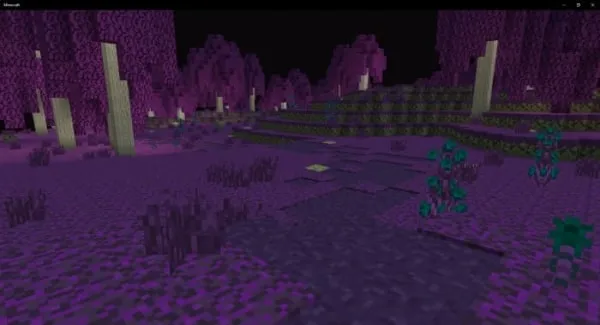 Paths on the End Grass Blocks