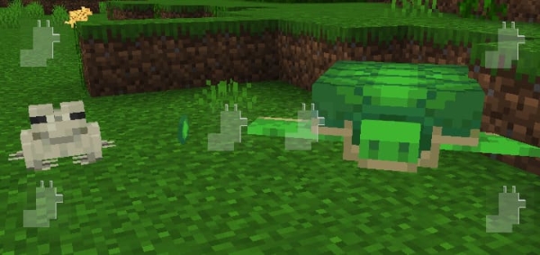 Frog, Turtle and loot