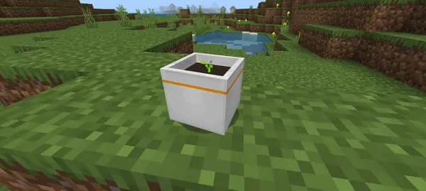 Groot Pot