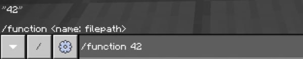 Typing "/function 42" Command