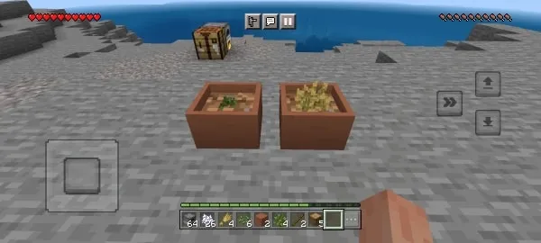 Animation While Growing
