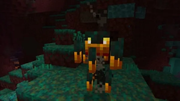 Blaze in the Warped Forest