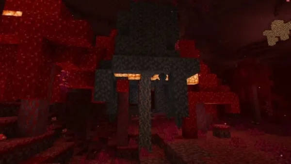 Chaga Stem in Crimson Forest