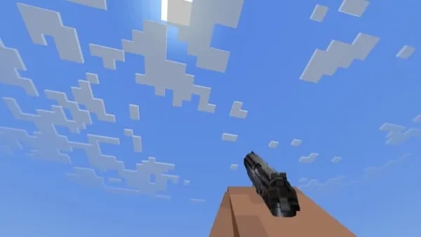 PM pistol