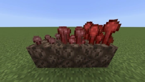 Clear Nether Wart Growth Stages: Screenshot 1