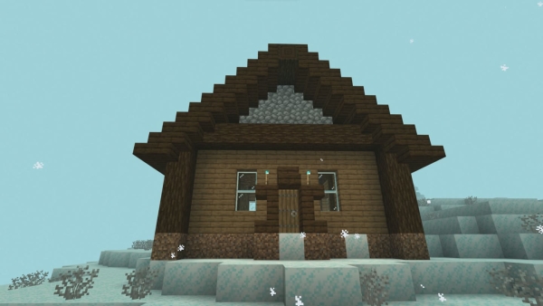 House in the Winter Dimension
