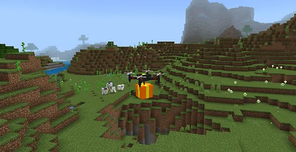 Supply Drone
