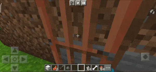 Chicken Opens the Door