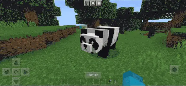 Saddled Panda