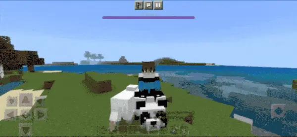 A Player Riding a Panda