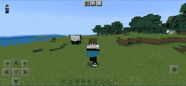 Panda Follows the Owner