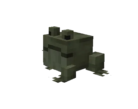 Cane Toad