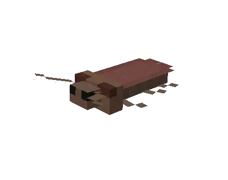Cockroach