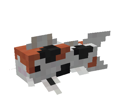Koi Fish