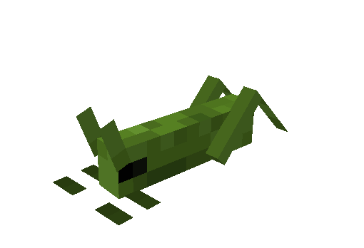 Locust