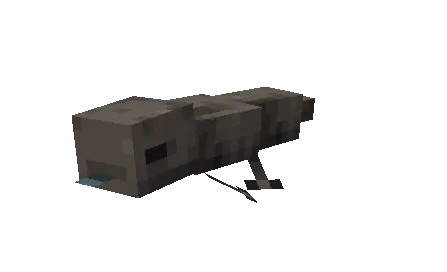 Skink