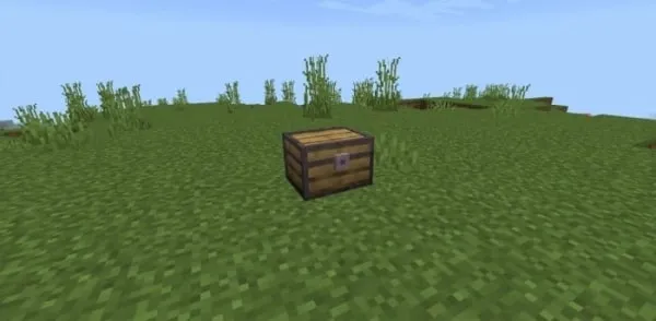 Cosmetic Chest
