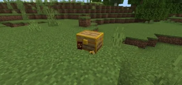 Lunar Cosmetic Chest