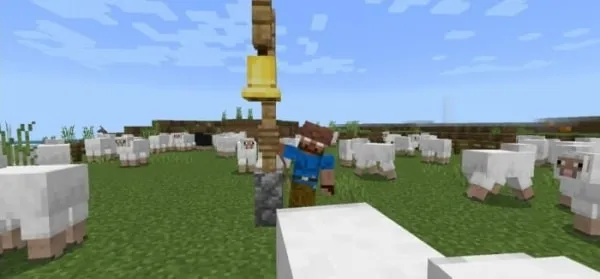 Shepherd Hat
