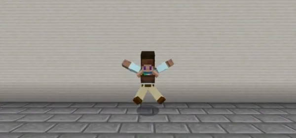Steve in a Backpack