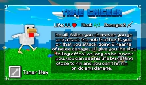 Tame Chicken