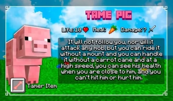 Tame Pig
