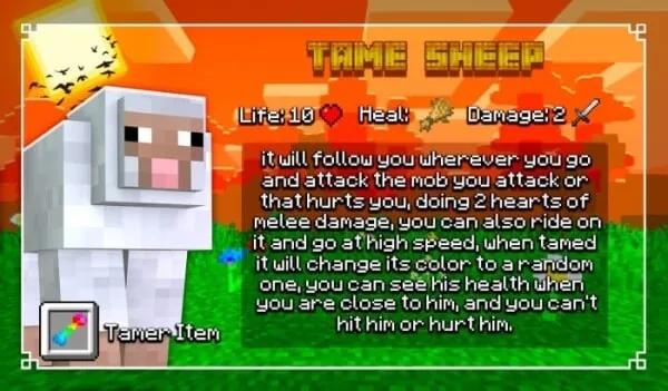 Tame Sheep