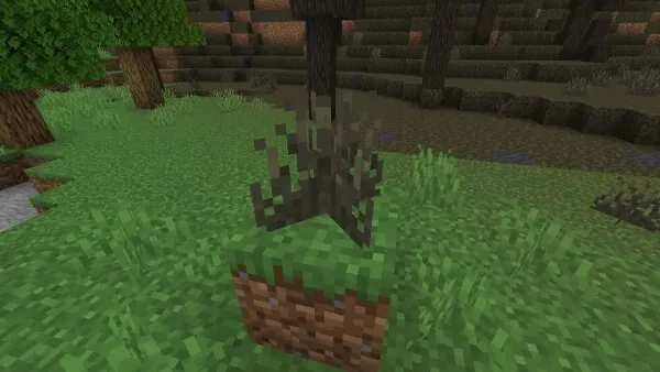 Corrupted Grass