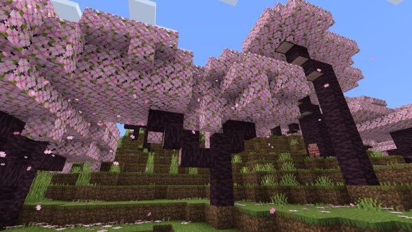 Cherry Trees: Screenshot