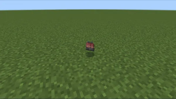 2 Gas tanks in the box