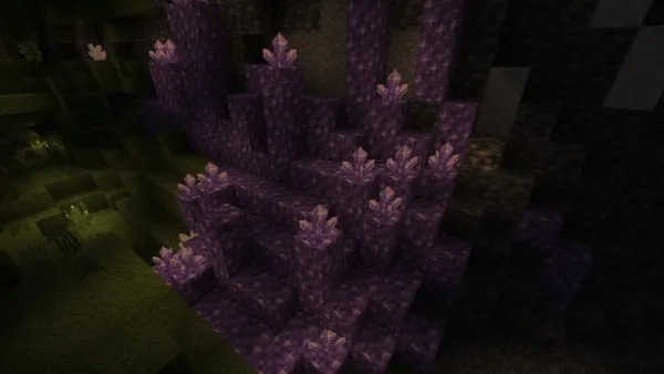 Amethyst Patch