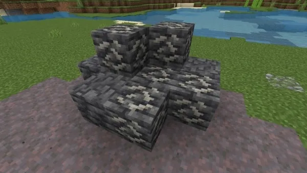 Deepslate Fossil