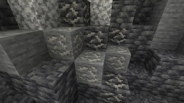 Fossiliferous Stone Patch