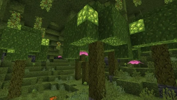Huge Mosshroom
