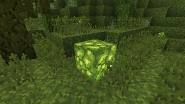 Mosshroom Light