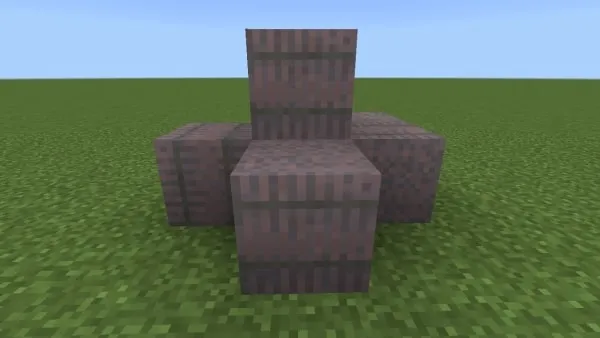 Mycelium Sprouts Bale