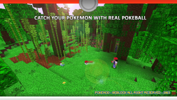 Pokemon Catching: Screenshot 1