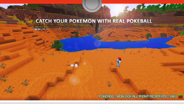 Pokemon Catching: Screenshot 2