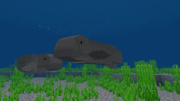 Wolf Fish