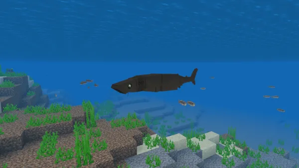 Cookie Cutter Shark