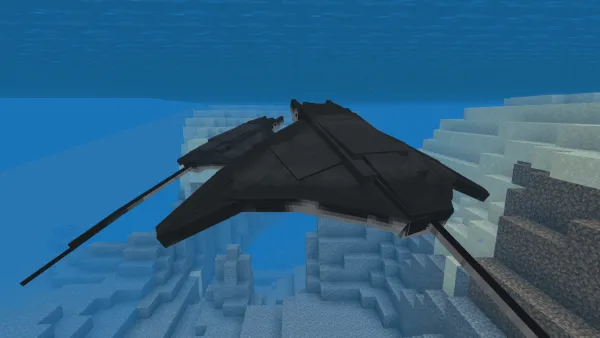 Two Mobula