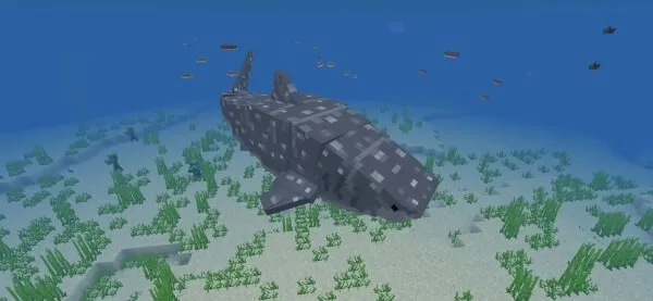 The Better Seas Fish: Screenshot 1