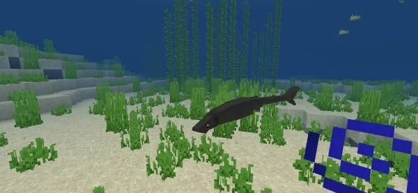 The Better Seas Fish: Screenshot 3