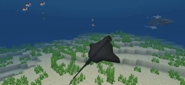 The Better Seas Fish: Screenshot 4