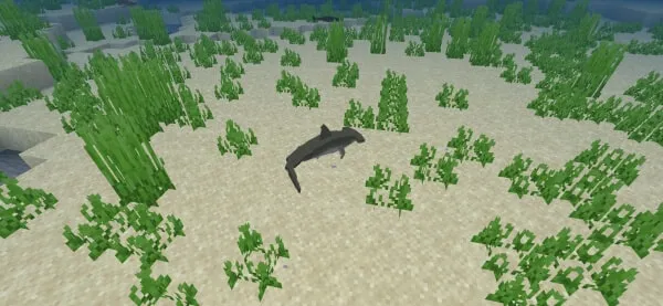 The Better Seas Fish: Screenshot 5